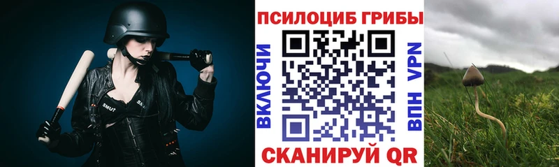 Псилоцибиновые грибы мицелий  наркотики  Радужный 